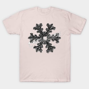 Crystalmodule T-Shirt